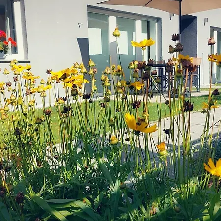 Ackerli شقة بيتنيو آم أرلبرغ