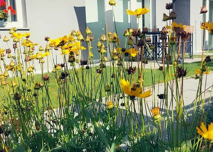 Ackerli Appartement Pettneu am Arlberg