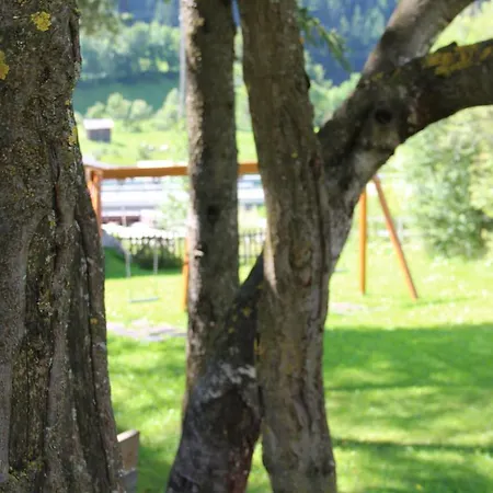 Ackerli Pettneu am Arlberg